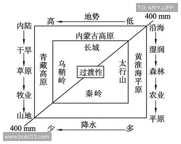西安篮球队运营分析：成功经验与不足之处的深度探讨