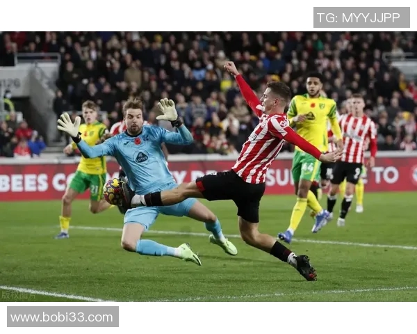 布伦特福德与诺维奇城比赛前瞻及胜负预测分析