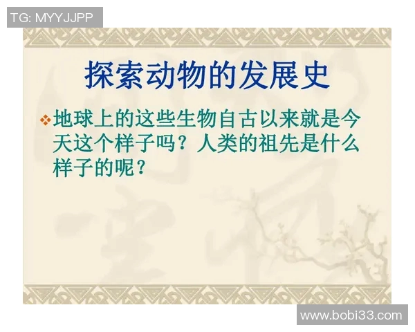 探索谢什科的历史与文化魅力揭示其在当代社会的重要性与影响力